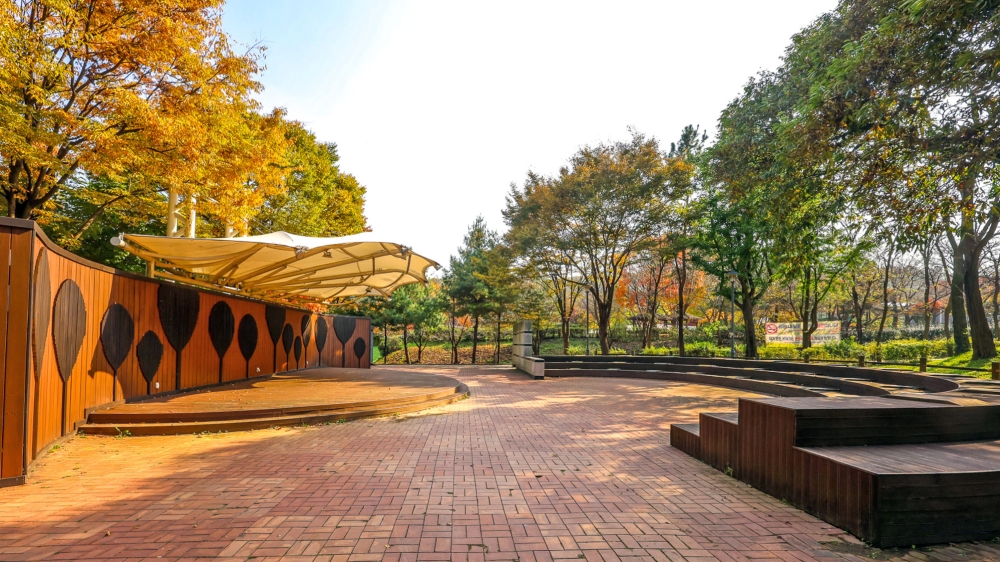 Wonjeoksan Park’s Ginkgo Forest 02