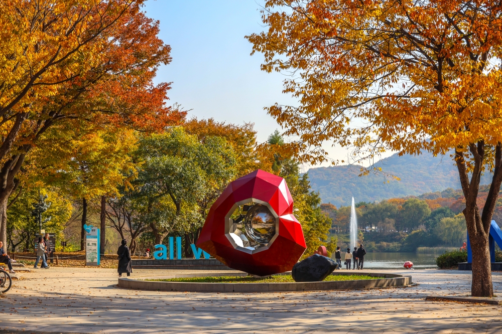 Jangsu-dong’s Ginkgo Tree 03
