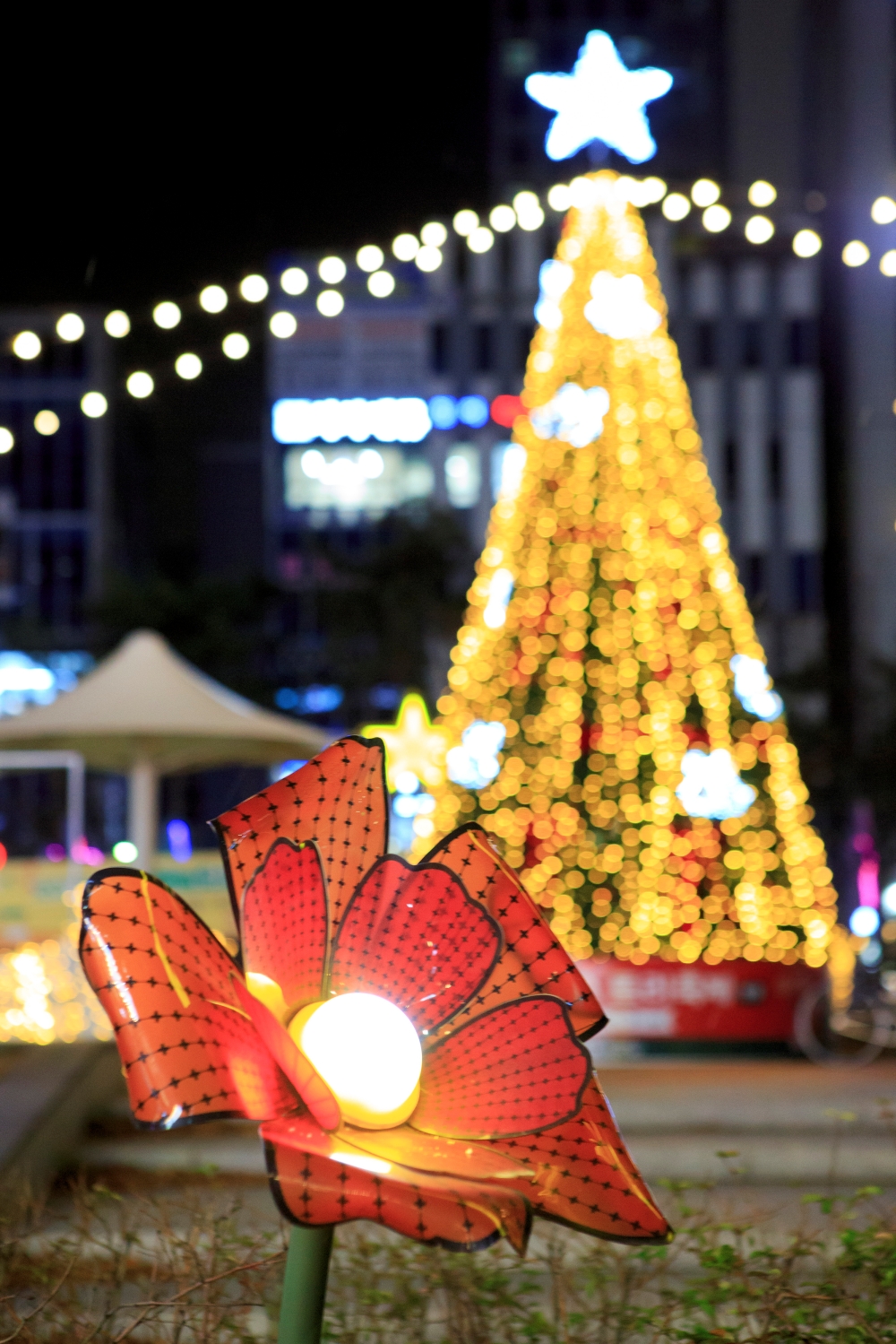 영종 하늘도시 별빛 광장 05