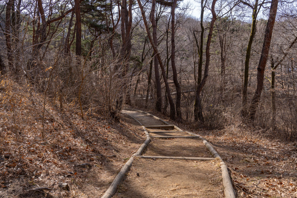 Manisan Healing Forest