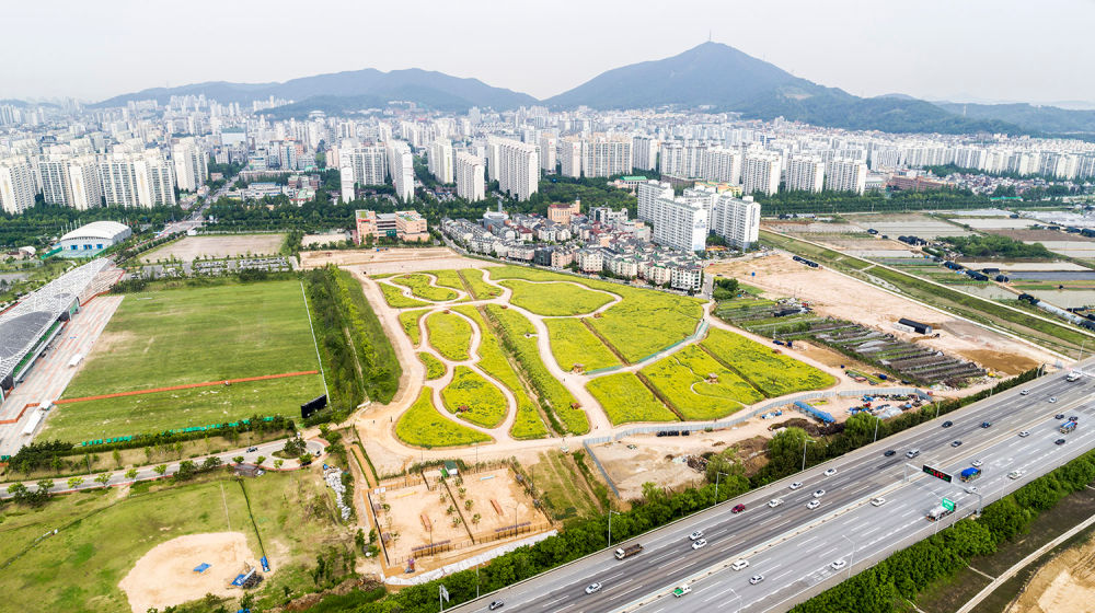 Gyeyang Flower Garden 05
