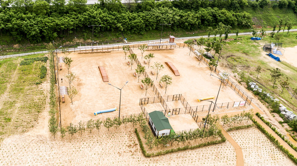 Gyeyang Flower Garden 07