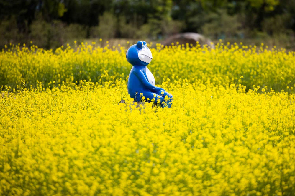 Gyeyang Flower Garden 01