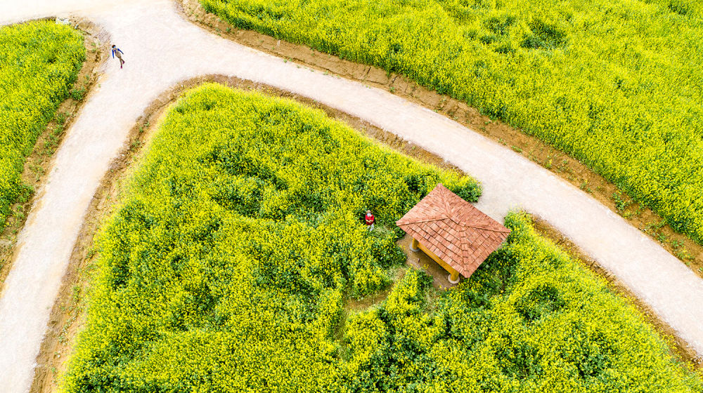 Gyeyang Flower Garden 06