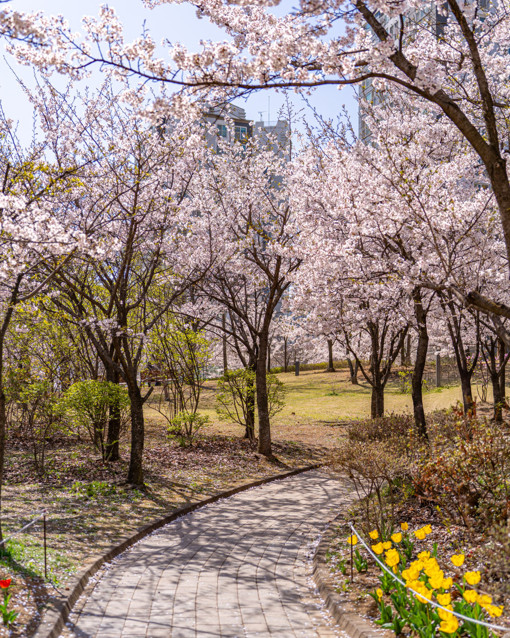 Incheon Central Park 06