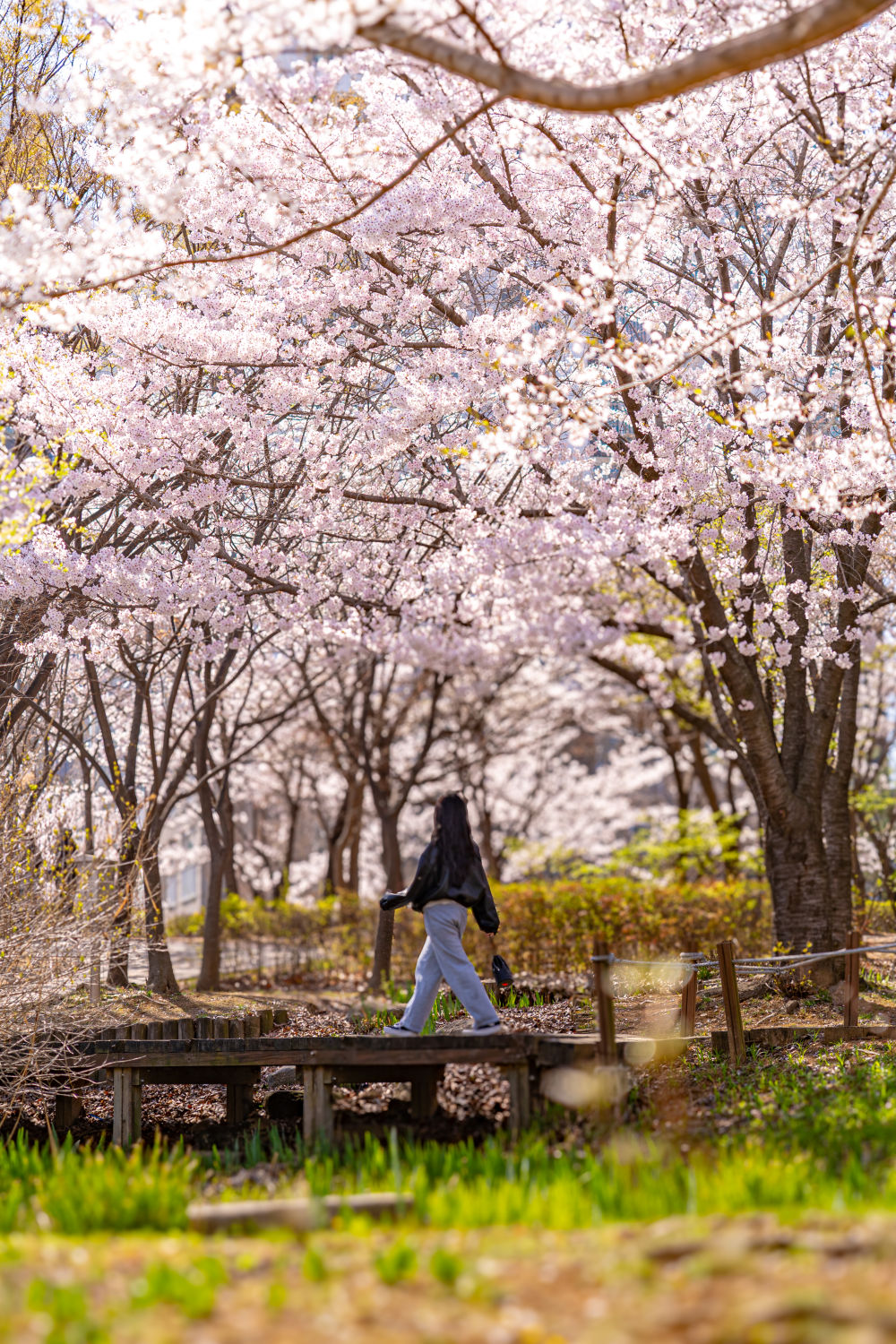 Incheon Central Park 07