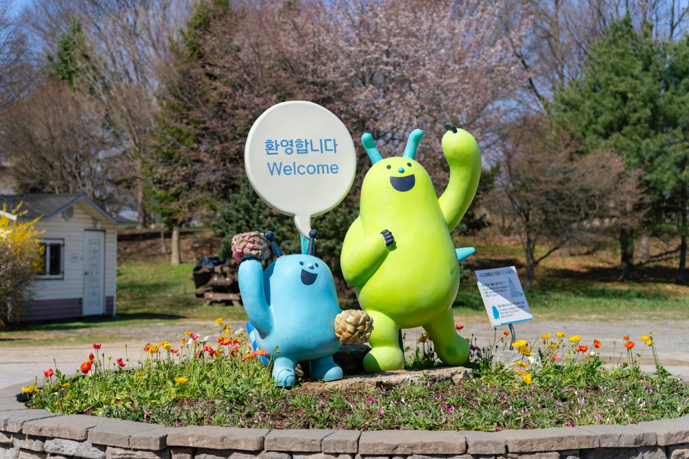 Wildflower Complex Dream Park 01