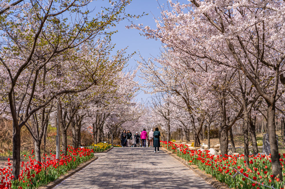 Incheon Central Park 04