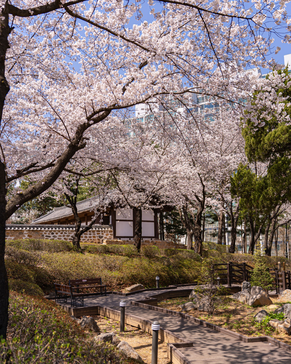 Hwadojin Park 04