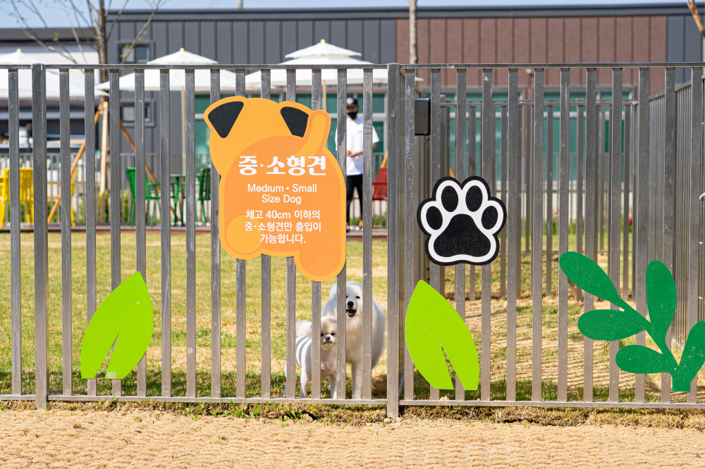 Dolmen Pet Park 02