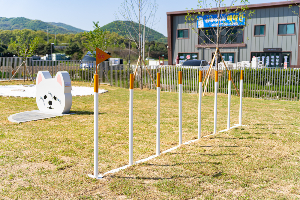Dolmen Pet Park 07