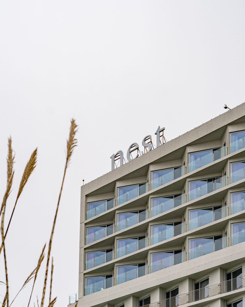Nest Hotel 01