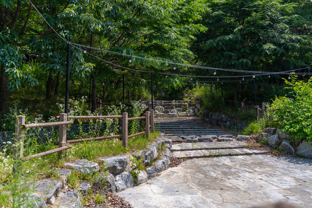 ポンジェ山 水遊び場