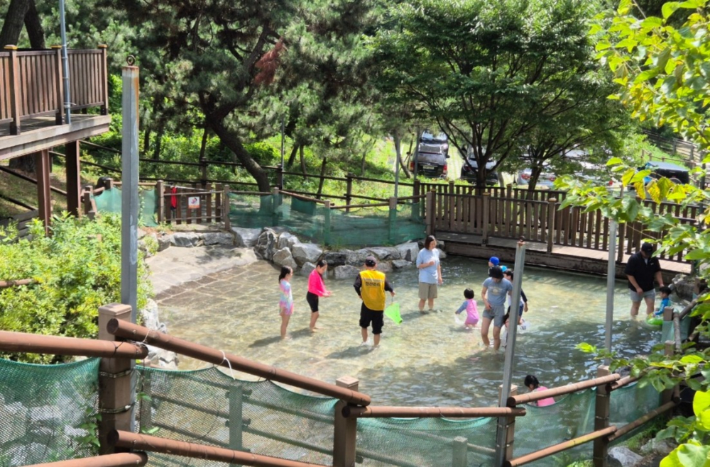 ポンジェ山 水遊び場 05