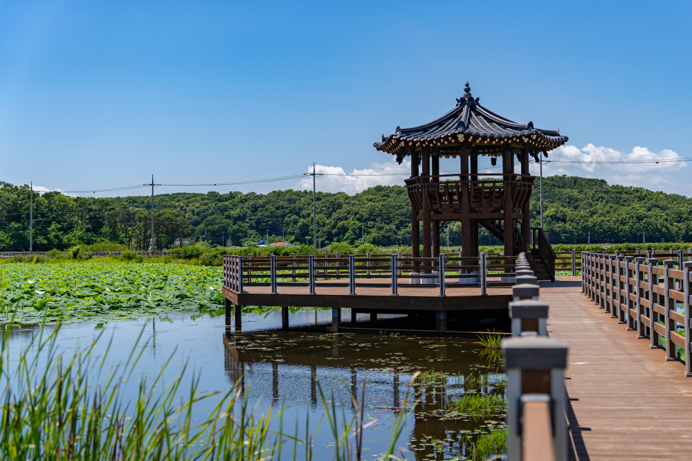 Gogu Reservoir 02