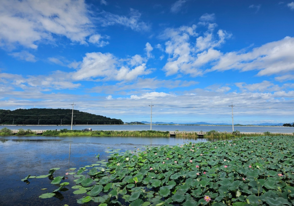 Gogu Reservoir 04