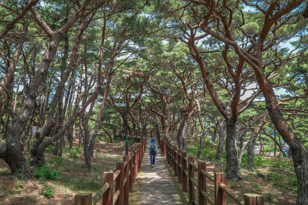 Seopori Beach 09