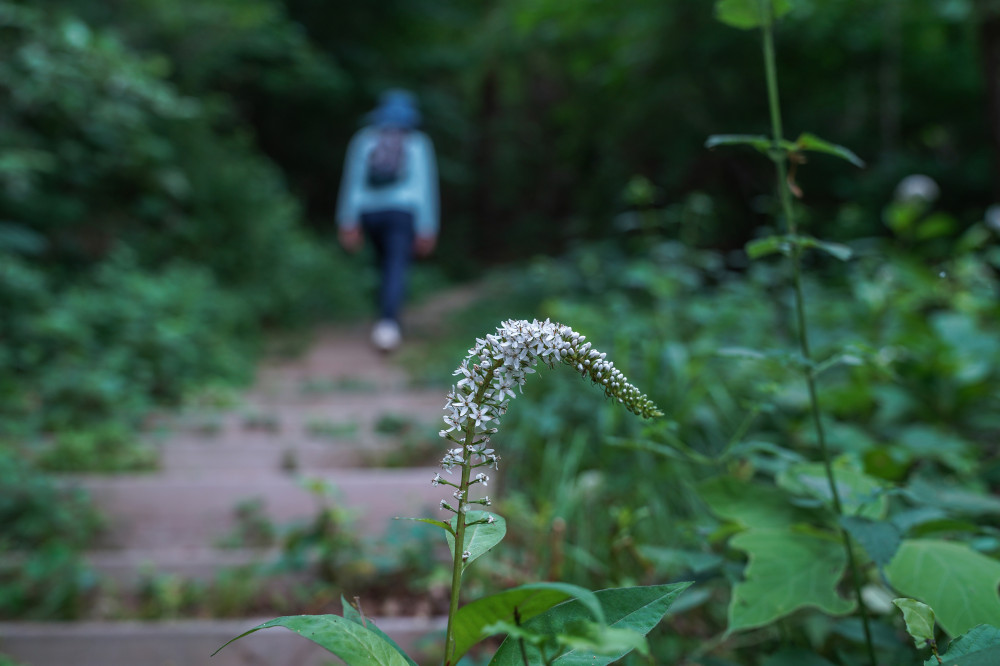 Doukkeut Coastal Walking Trail 09