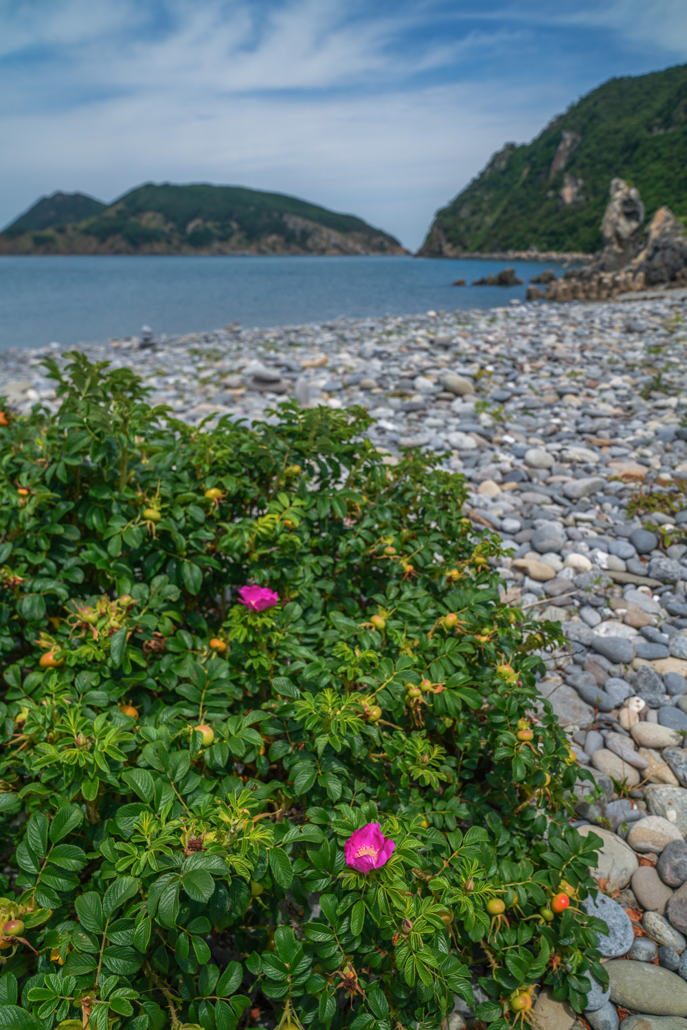 Neungdong Pebble Beach 05