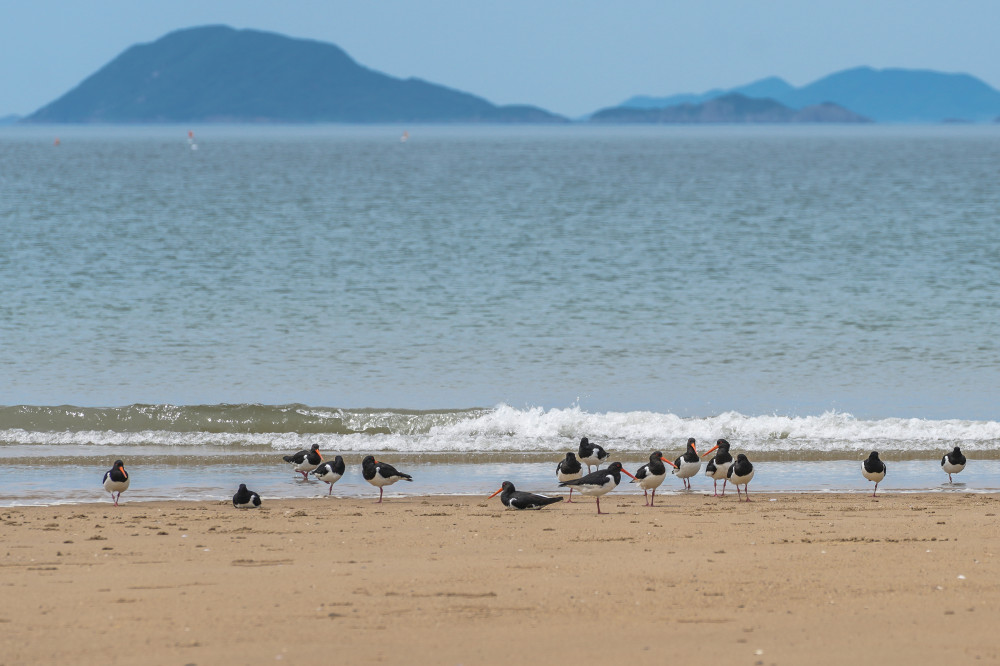 Seopori Beach 08