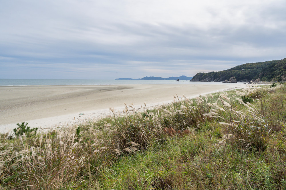 サゴッ海岸 05