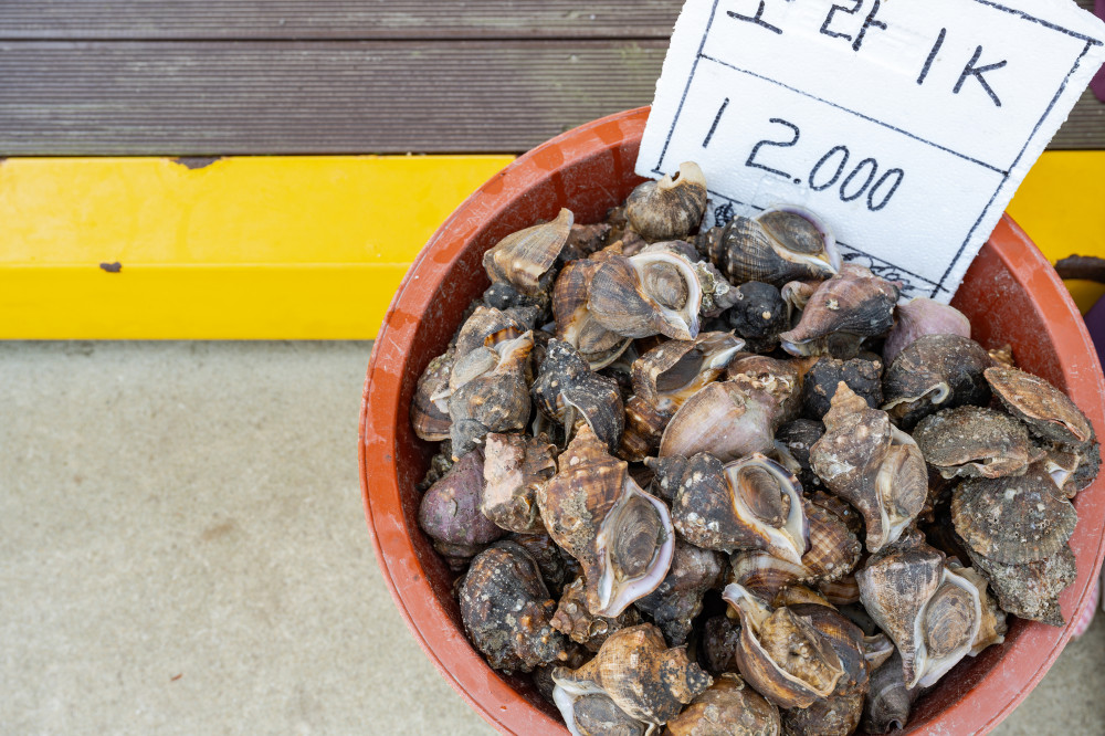 食の島 06