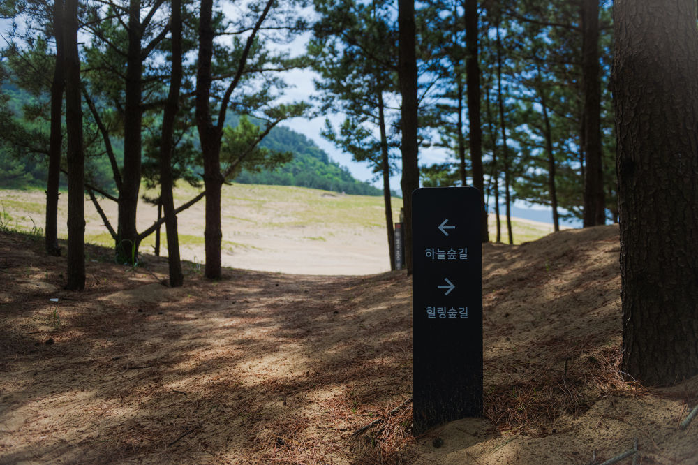 玉竹洞海岸沙丘 01