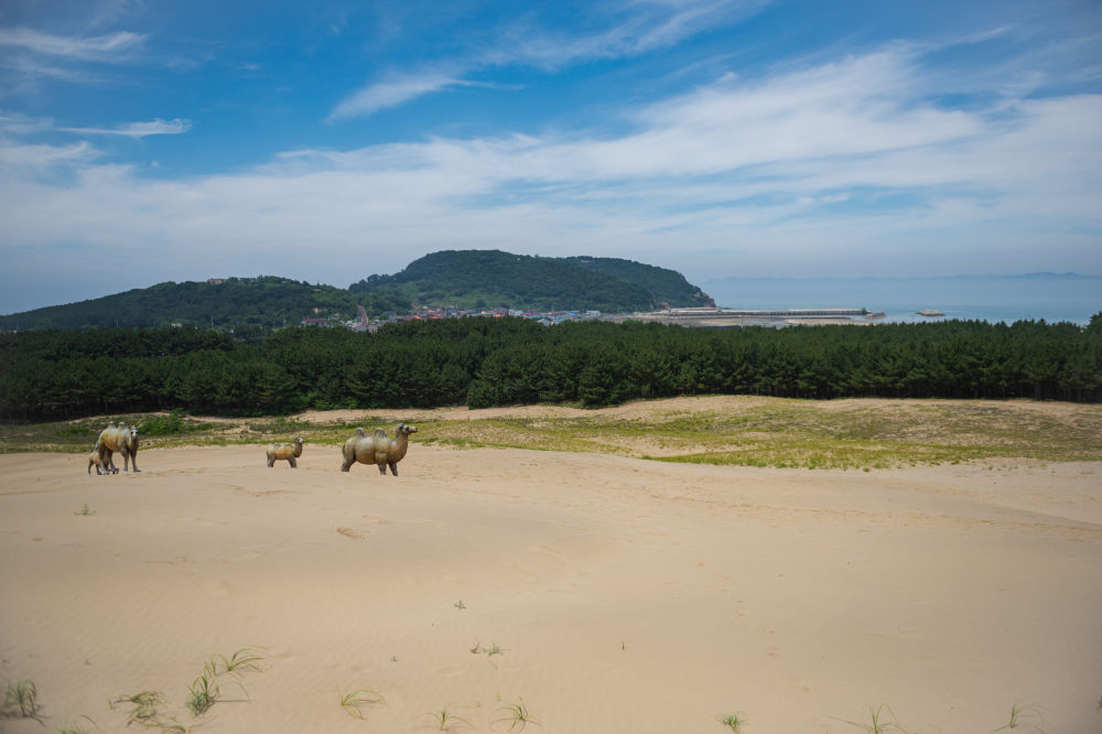 玉竹洞海岸沙丘