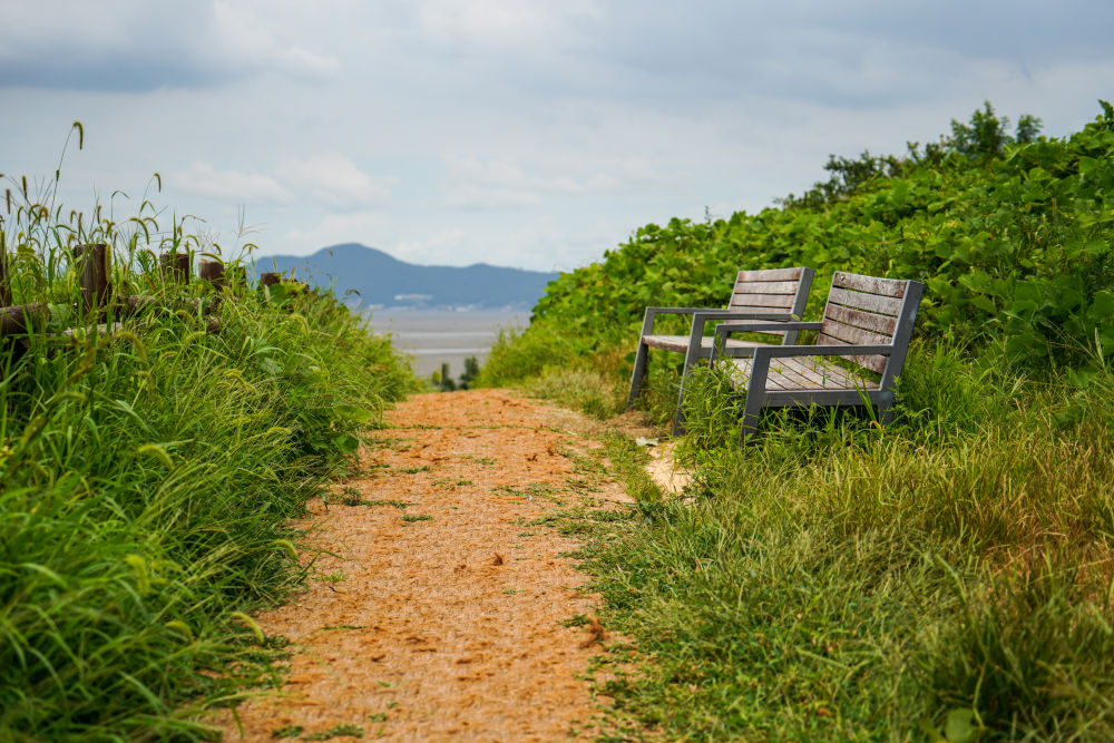 [Yeongjongdo] Yedanpo Dulle-gil Trail 04