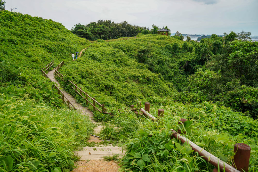 [Yeongjongdo] Yedanpo Dulle-gil Trail 01