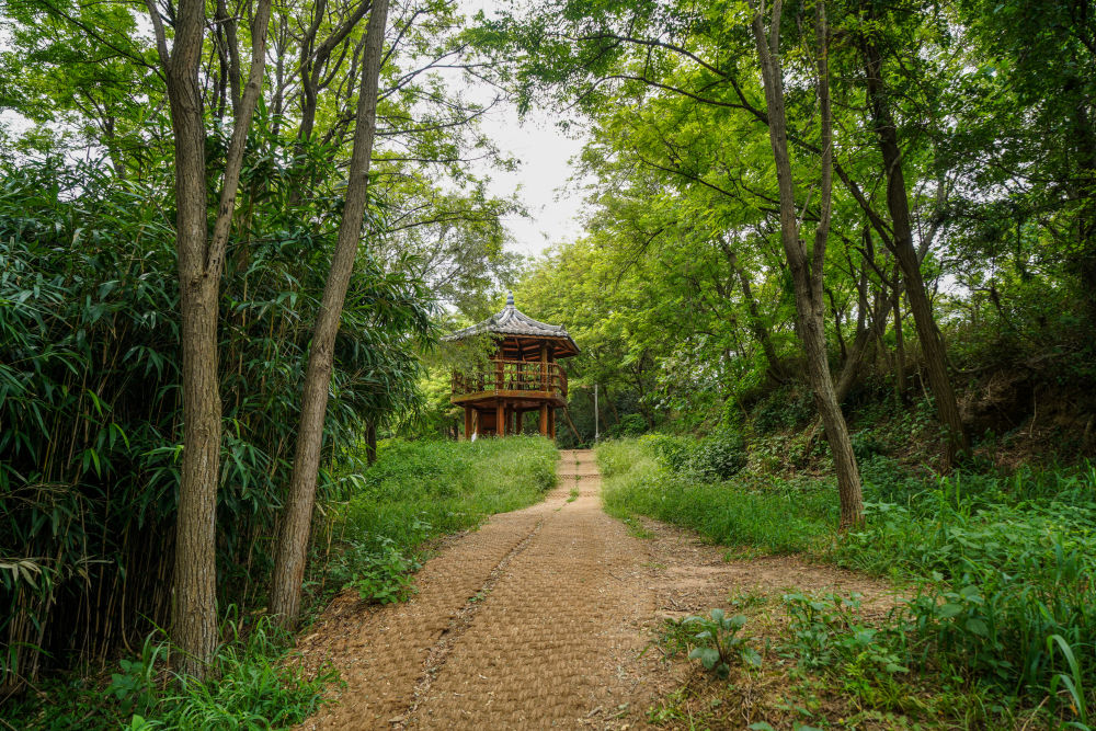[Yeongjongdo] Yedanpo Dulle-gil Trail 03