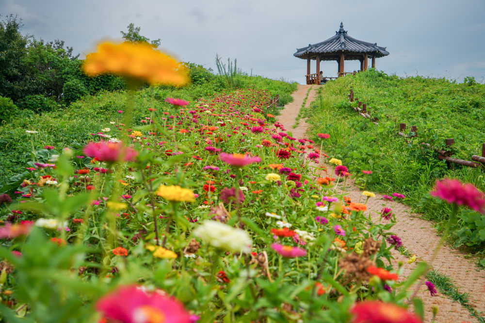 [Yeongjongdo] Yedanpo Dulle-gil Trail 07