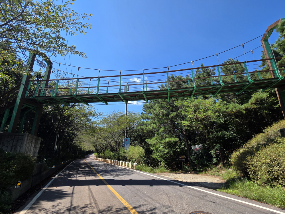 吊り橋 06