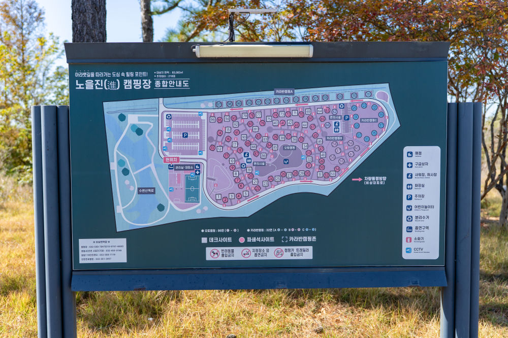 霞光露营地 02