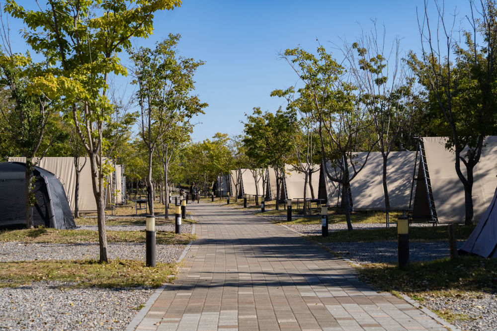 永宗海景露营地 03