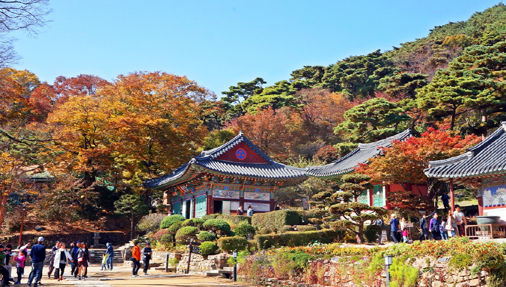 강화 전등사 이미지