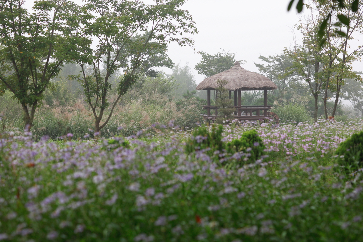 Incheon Grand Park 4
