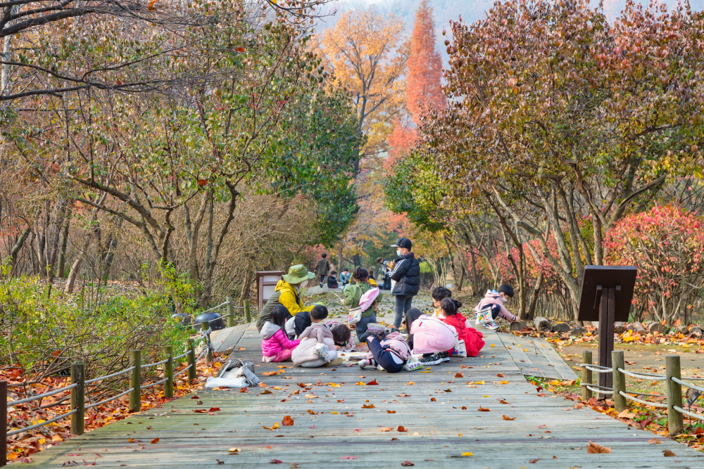 인천수목원 사진3