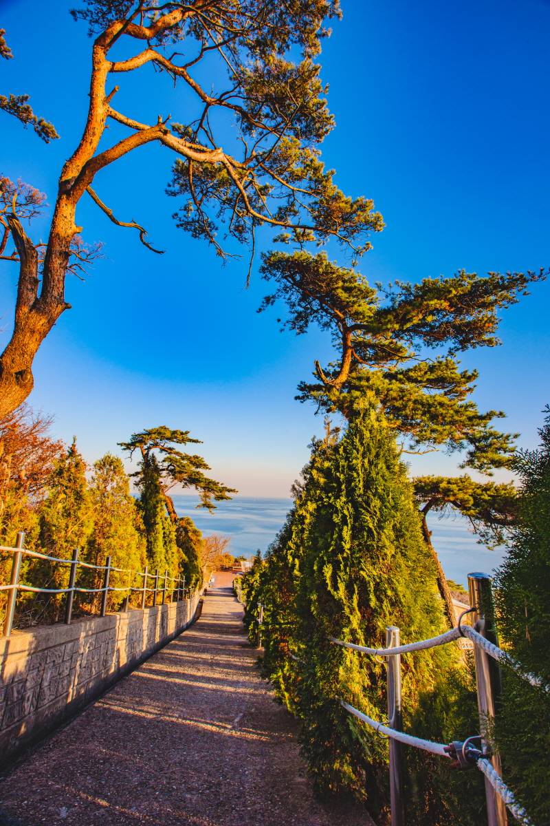 팔미도여행(현대마린개발) 사진2